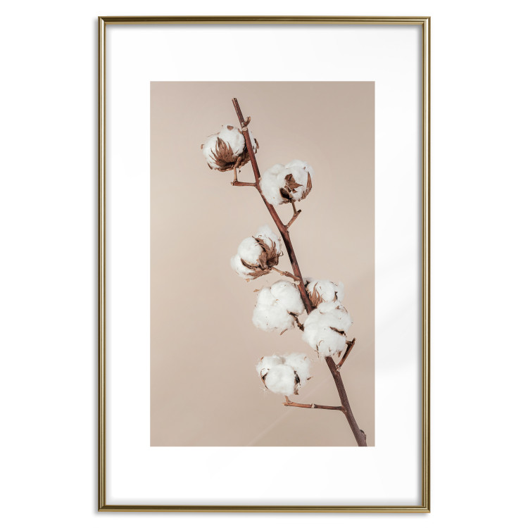 Poster Softness of Cotton - plant with soft white flowers on a beige background 137978 additionalImage 4