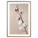 Poster Softness of Cotton - plant with soft white flowers on a beige background 137978 additionalThumb 4