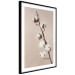 Poster Softness of Cotton - plant with soft white flowers on a beige background 137978 additionalThumb 23