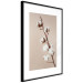 Poster Softness of Cotton - plant with soft white flowers on a beige background 137978 additionalThumb 21