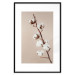 Poster Softness of Cotton - plant with soft white flowers on a beige background 137978 additionalThumb 3