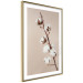 Poster Softness of Cotton - plant with soft white flowers on a beige background 137978 additionalThumb 16