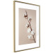 Poster Softness of Cotton - plant with soft white flowers on a beige background 137978 additionalThumb 20