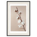 Poster Softness of Cotton - plant with soft white flowers on a beige background 137978 additionalThumb 3