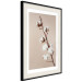 Poster Softness of Cotton - plant with soft white flowers on a beige background 137978 additionalThumb 19