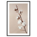 Poster Softness of Cotton - plant with soft white flowers on a beige background 137978 additionalThumb 7