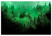 Canvas Magical Mist (1-piece) - third variant - green forest landscape 142978