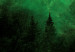 Canvas Magical Mist (1-piece) - third variant - green forest landscape 142978 additionalThumb 4