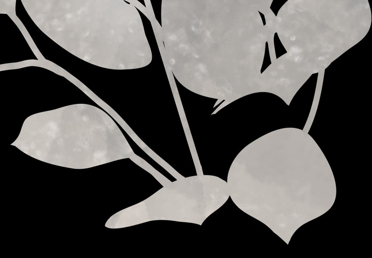 Poster Eucalyptus Twigs - Minimalist Leaves on a Dark Background 146178 additionalImage 3