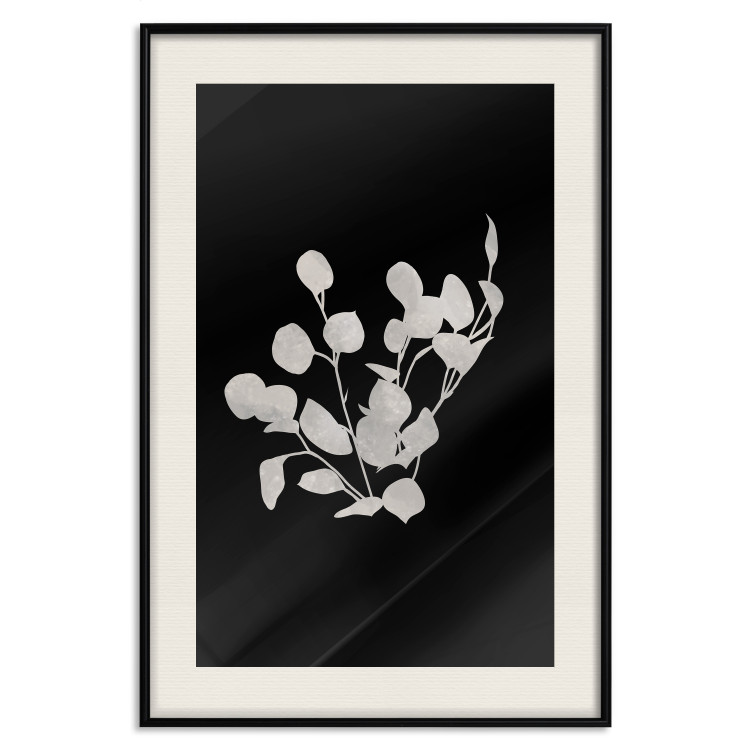 Poster Eucalyptus Twigs - Minimalist Leaves on a Dark Background 146178 additionalImage 27