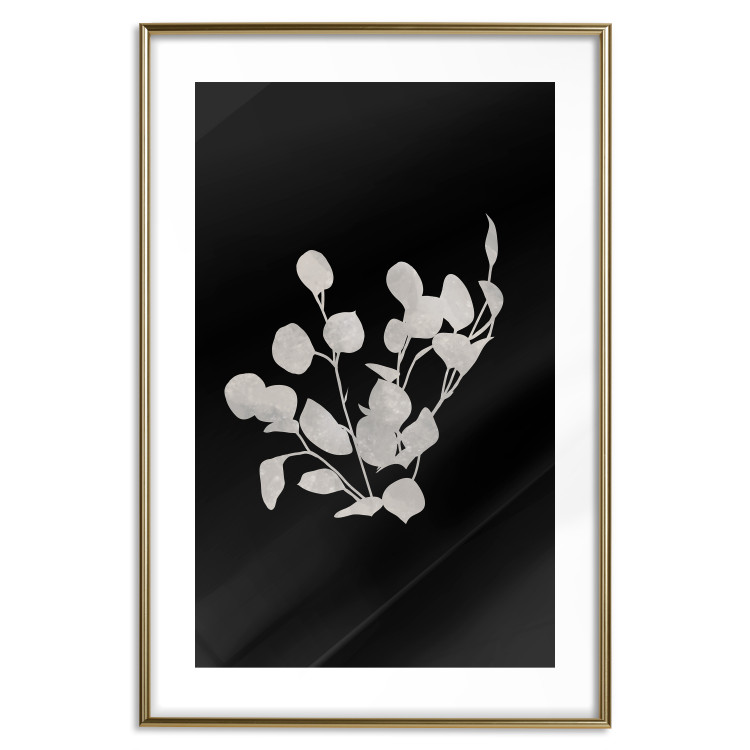 Poster Eucalyptus Twigs - Minimalist Leaves on a Dark Background 146178 additionalImage 26