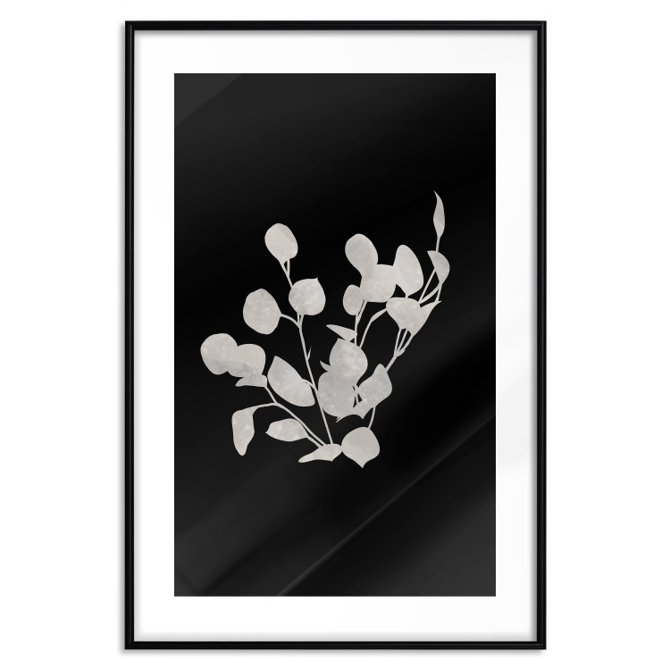 Poster Eucalyptus Twigs - Minimalist Leaves on a Dark Background 146178 additionalImage 24