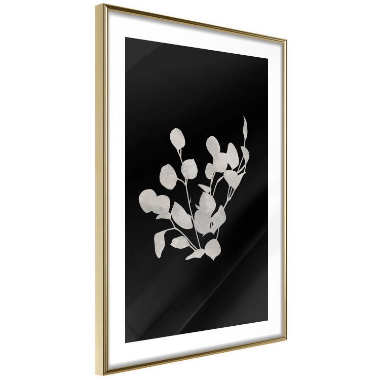 Poster Eucalyptus Twigs - Minimalist Leaves on a Dark Background 146178 additionalImage 12