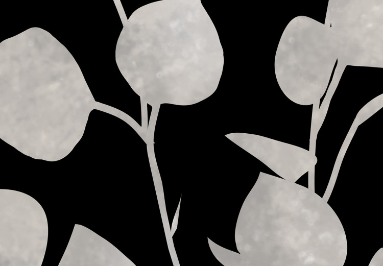 Poster Eucalyptus Twigs - Minimalist Leaves on a Dark Background 146178 additionalImage 2
