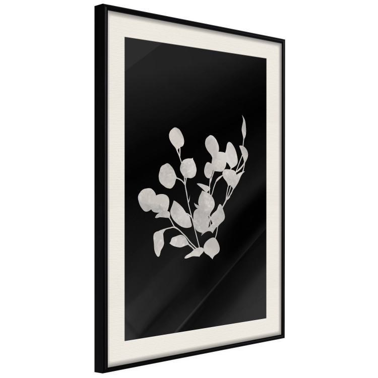 Poster Eucalyptus Twigs - Minimalist Leaves on a Dark Background 146178 additionalImage 14