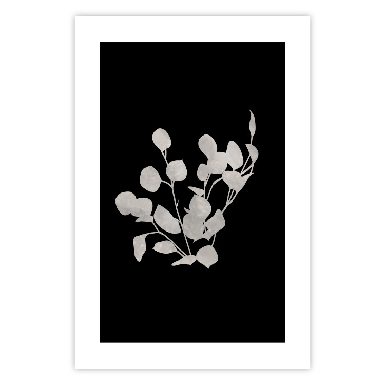Poster Eucalyptus Twigs - Minimalist Leaves on a Dark Background 146178 additionalImage 22