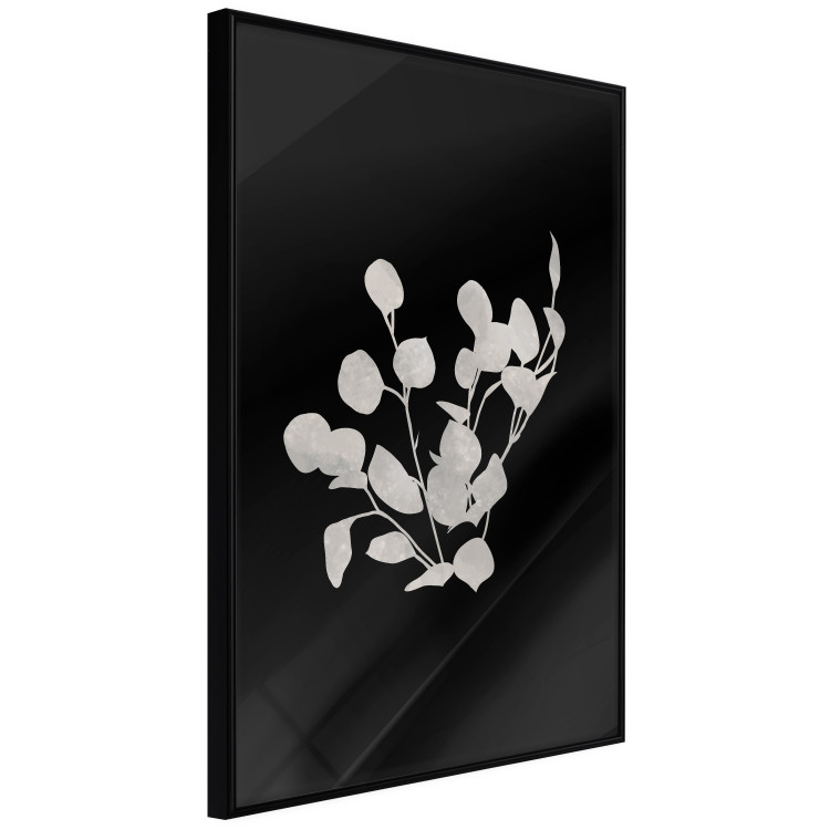 Poster Eucalyptus Twigs - Minimalist Leaves on a Dark Background 146178 additionalImage 19