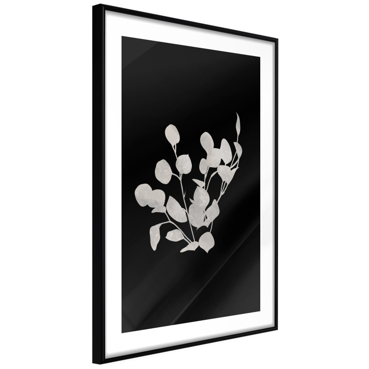 Poster Eucalyptus Twigs - Minimalist Leaves on a Dark Background 146178 additionalImage 8