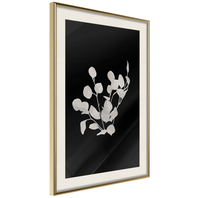Poster Eucalyptus Twigs - Minimalist Leaves on a Dark Background 146178 additionalImage 6