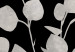 Poster Eucalyptus Twigs - Minimalist Leaves on a Dark Background 146178 additionalThumb 2