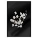 Poster Eucalyptus Twigs - Minimalist Leaves on a Dark Background 146178 additionalThumb 23