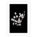 Poster Eucalyptus Twigs - Minimalist Leaves on a Dark Background 146178 additionalThumb 22