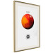 Wall Poster Red Planet - Mars and Abstract Composition with Solar System II 146478 additionalThumb 9