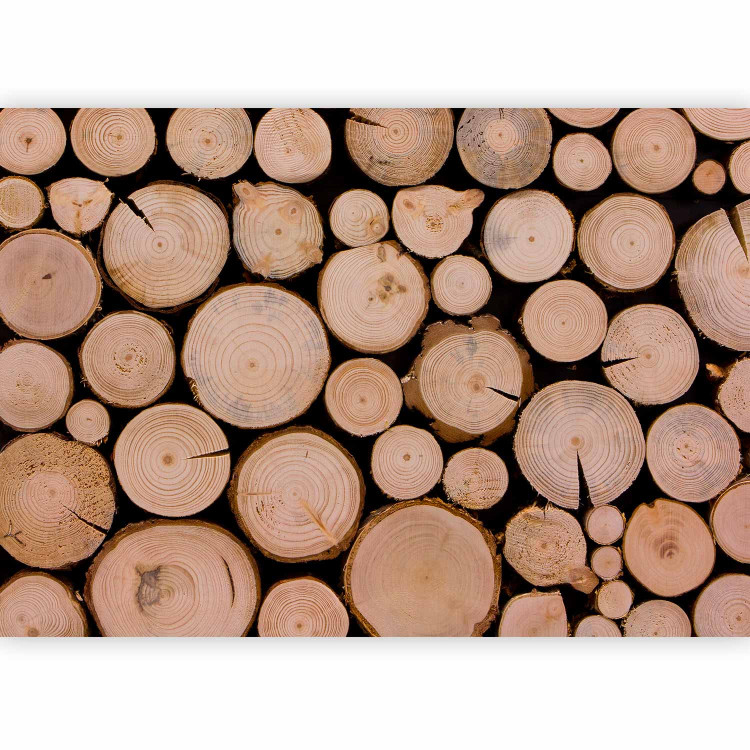 Photo Wallpaper Fresh Wood - Pile of Wood After Felling With Visible Rings 149878 additionalImage 1