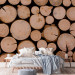 Photo Wallpaper Fresh Wood - Pile of Wood After Felling With Visible Rings 149878 additionalThumb 2