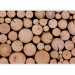 Photo Wallpaper Fresh Wood - Pile of Wood After Felling With Visible Rings 149878 additionalThumb 1