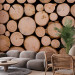 Photo Wallpaper Fresh Wood - Pile of Wood After Felling With Visible Rings 149878
