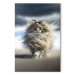 Canvas AI Maine Coon Cat - Strutting Animal With Flowing Hair - Vertical 150178 additionalThumb 7