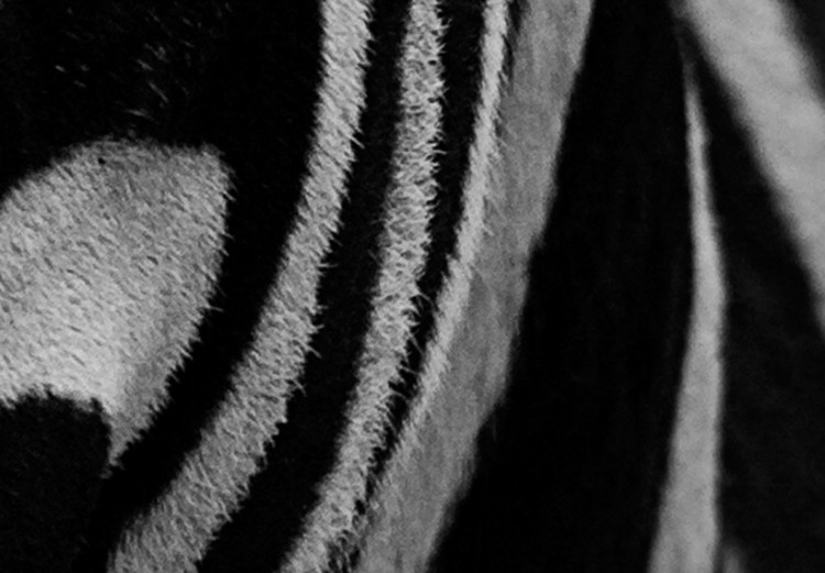 Canvas Print Zebra look 58478 additionalImage 5