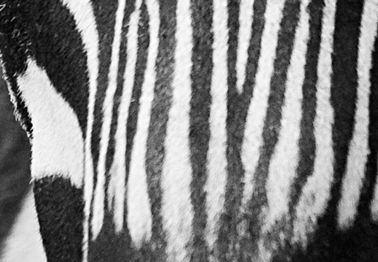 Canvas Print Zebra look 58478 additionalImage 4