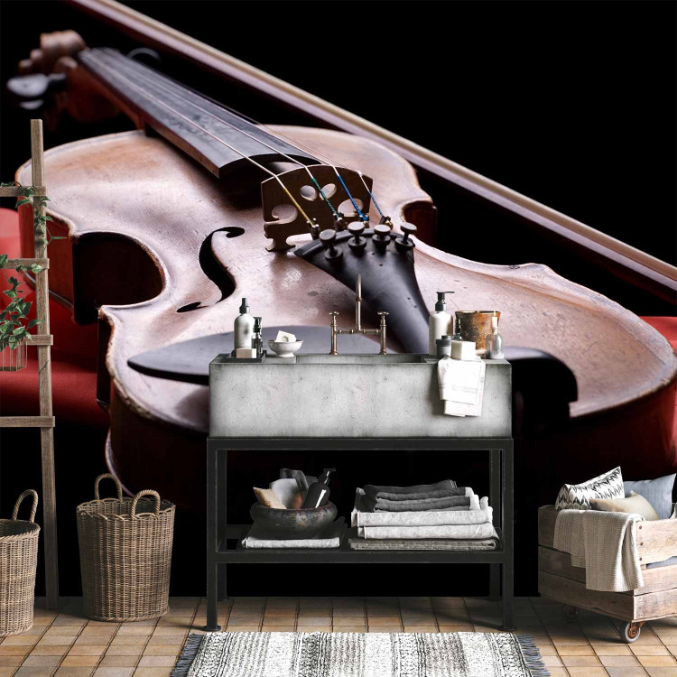 Wall Mural Classical Music - Violin lying on a red scarf on a black background 61378 additionalImage 8