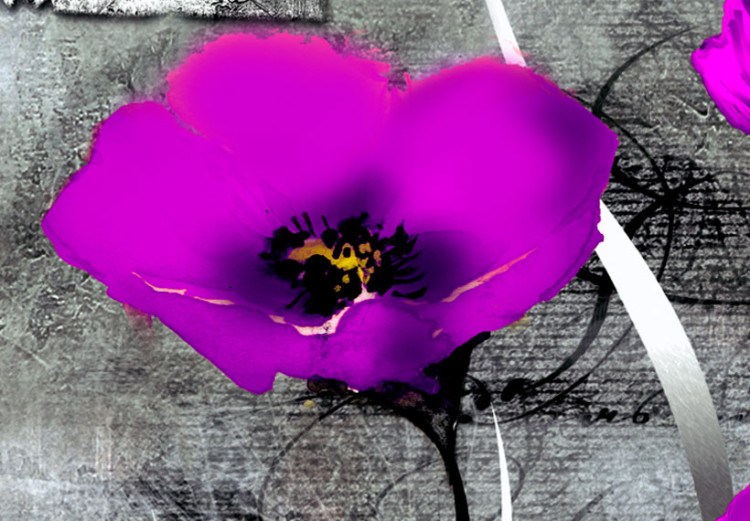 Acrylic print Meadow: Purple Poppies [Glass] 92378 additionalImage 5