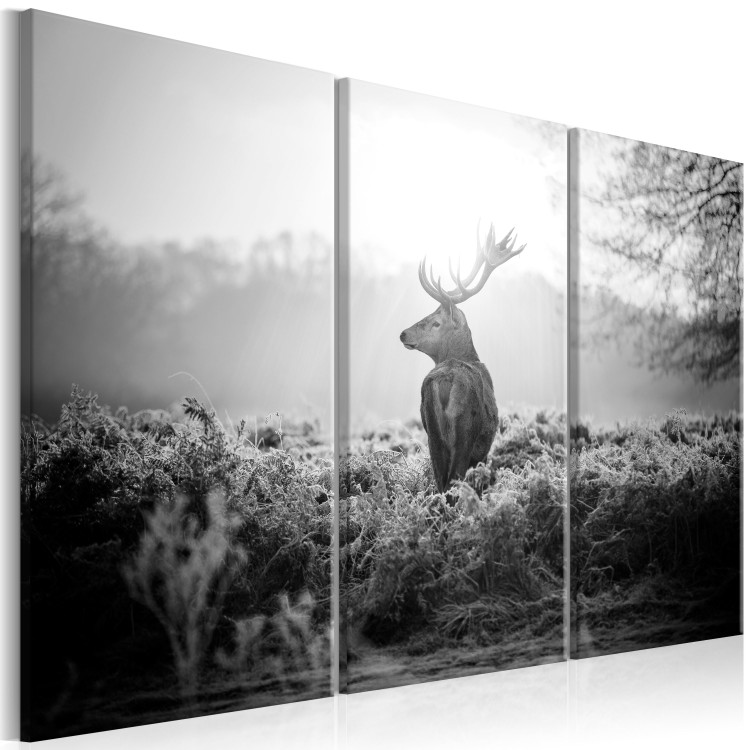 Canvas Art Print Deer in Nostalgia (3-piece) - Black and White Stag Figure in Field 105788 additionalImage 2