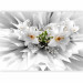 Photo Wallpaper Floral Explosion 108188 additionalThumb 1