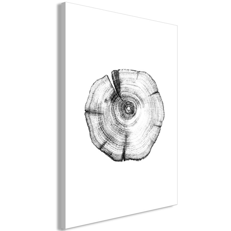 Canvas Tree rings - black and white, cross-section of the tree trunk 116588 additionalImage 2