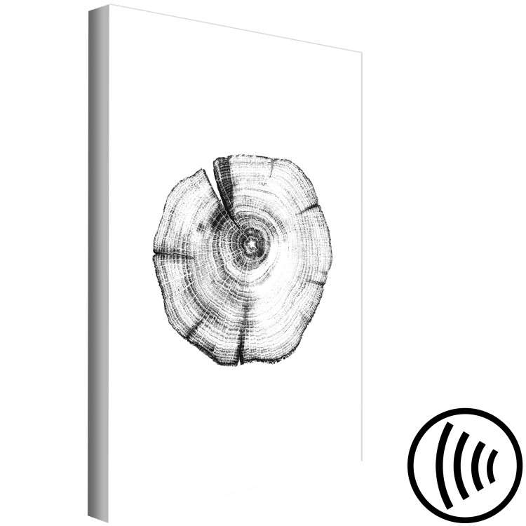 Canvas Tree rings - black and white, cross-section of the tree trunk 116588 additionalImage 6