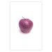 Wall Poster Apple - red fruit with water droplets on a solid white background 116788 additionalThumb 19