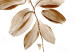 Poster August Leaves - plant in autumnal atmosphere with golden leaves 123488 additionalThumb 9