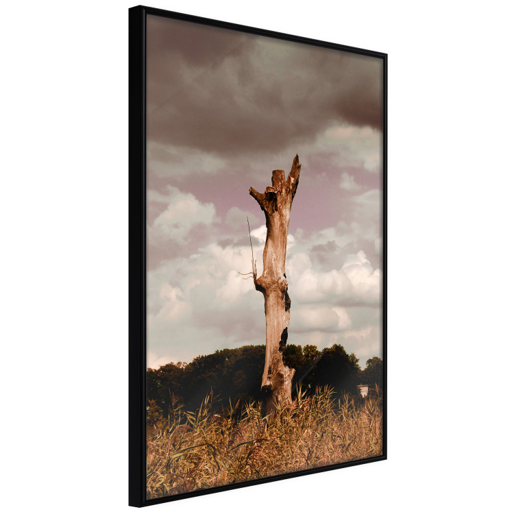 Wall Poster Memory of the Sky - old tree trunk surrounded by meadow against sky 124388 additionalImage 10