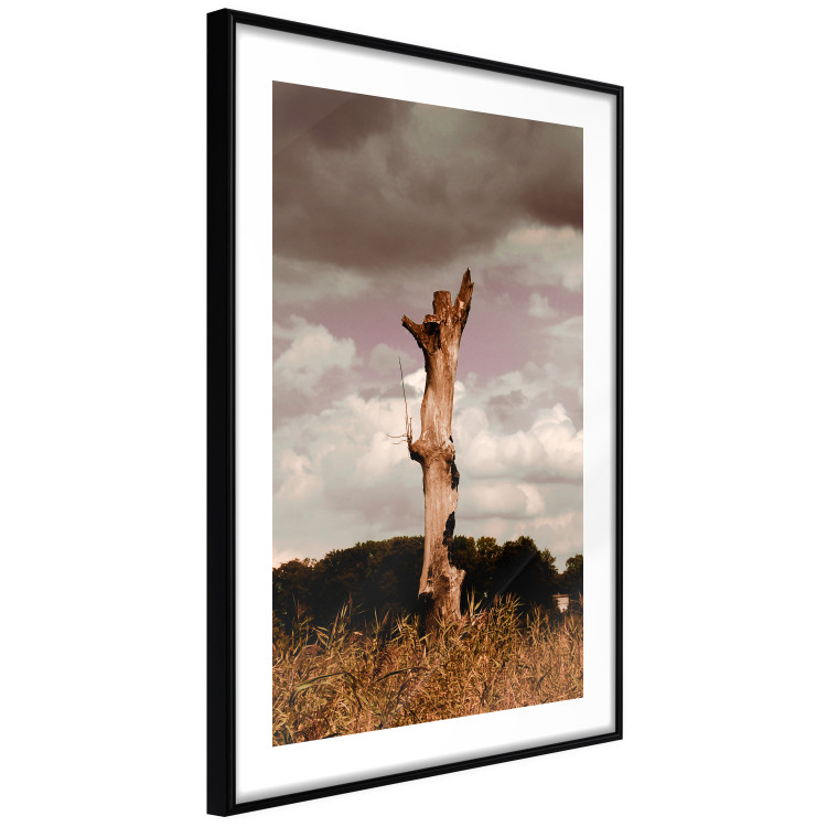 Wall Poster Memory of the Sky - old tree trunk surrounded by meadow against sky 124388 additionalImage 11