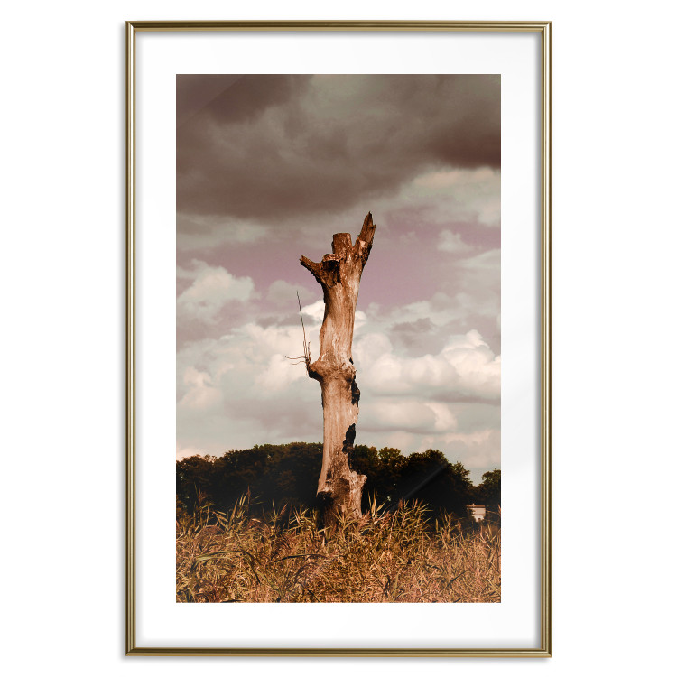 Wall Poster Memory of the Sky - old tree trunk surrounded by meadow against sky 124388 additionalImage 14