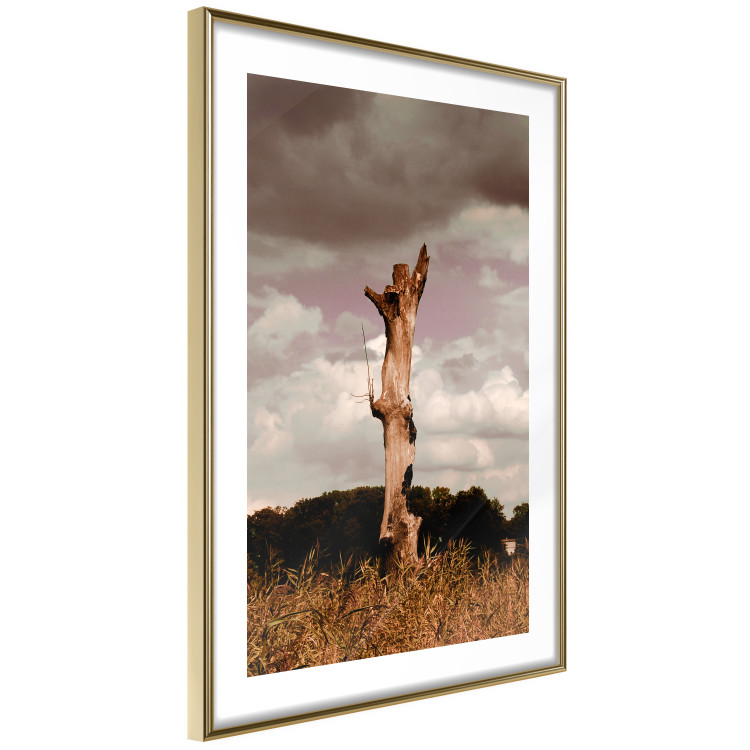 Wall Poster Memory of the Sky - old tree trunk surrounded by meadow against sky 124388 additionalImage 6