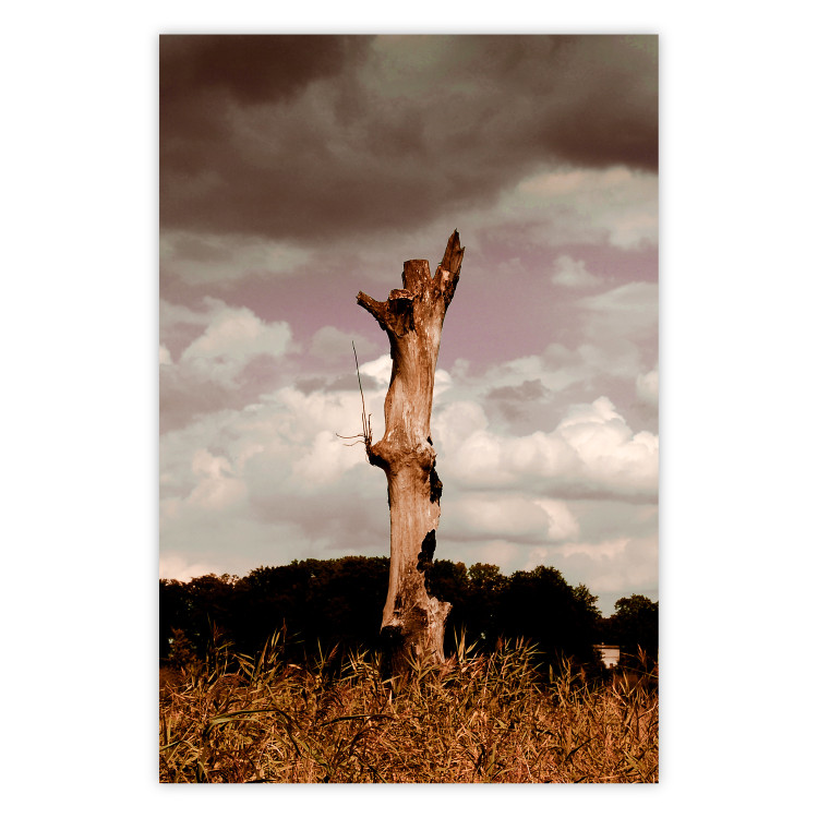 Wall Poster Memory of the Sky - old tree trunk surrounded by meadow against sky 124388