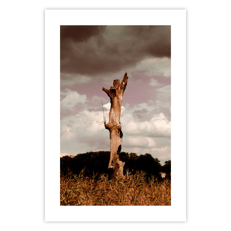 Wall Poster Memory of the Sky - old tree trunk surrounded by meadow against sky 124388 additionalImage 19