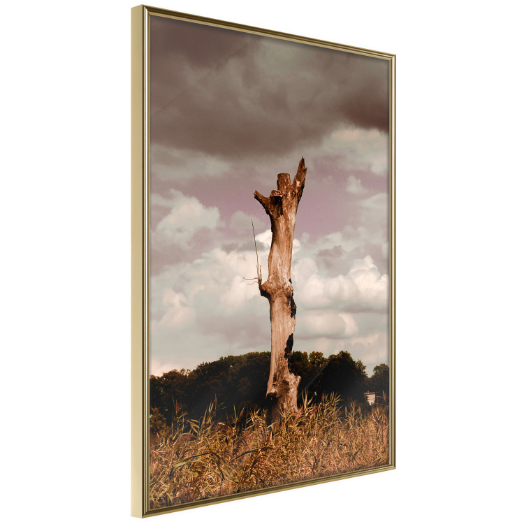 Wall Poster Memory of the Sky - old tree trunk surrounded by meadow against sky 124388 additionalImage 12