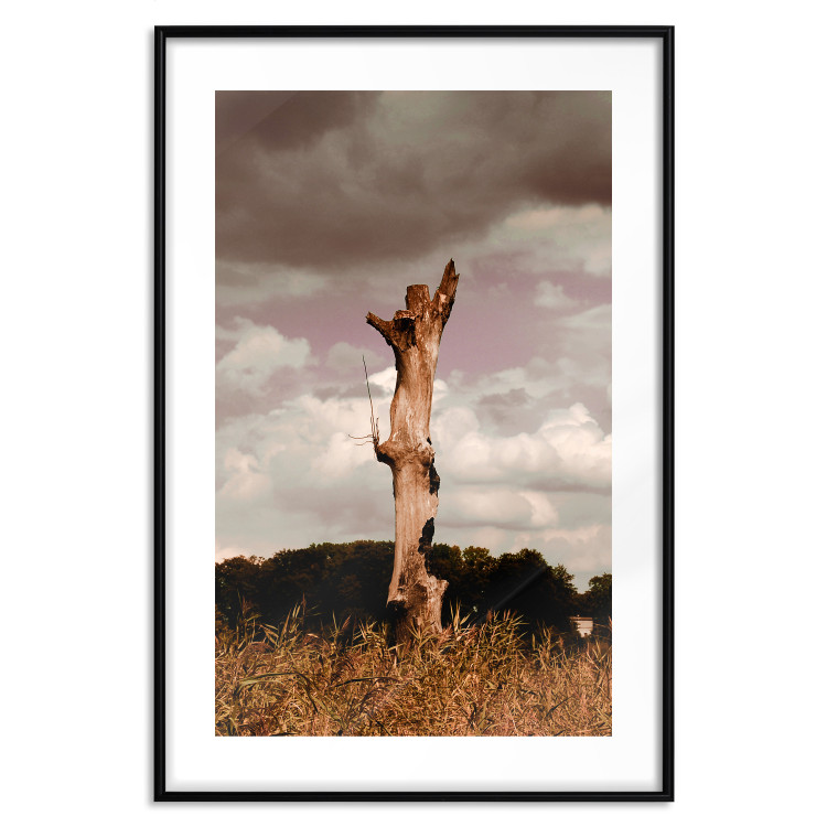 Wall Poster Memory of the Sky - old tree trunk surrounded by meadow against sky 124388 additionalImage 15
